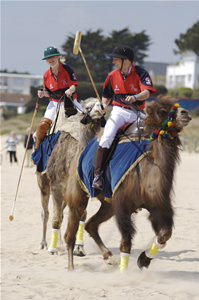 Camel Beach Polo